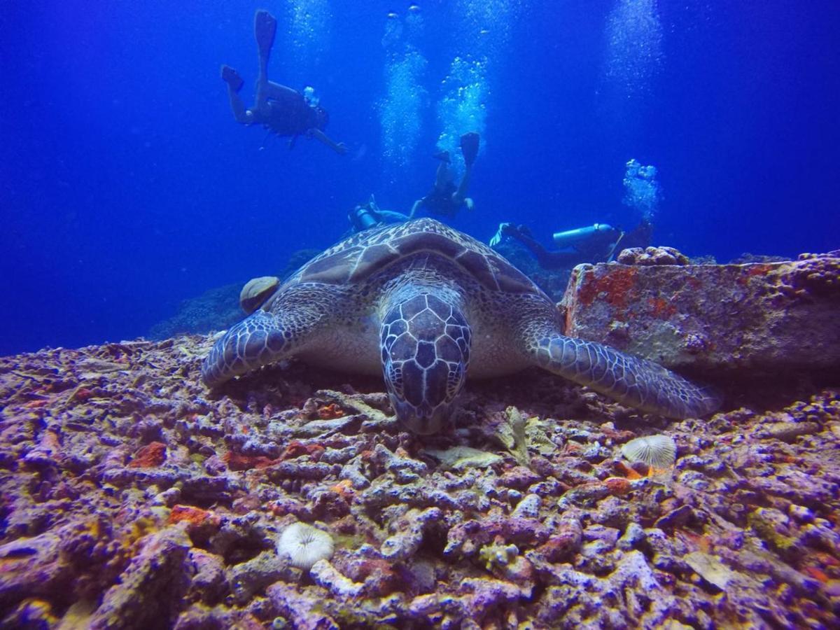 La Favela Pansiyon Gili Trawangan Dış mekan fotoğraf